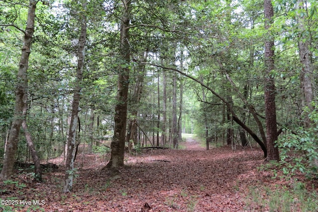 view of landscape with a wooded view