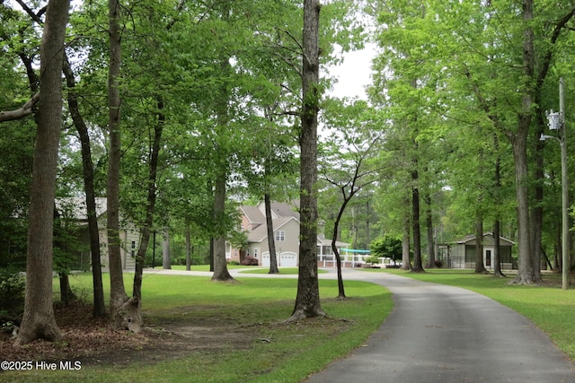 view of home's community with a yard
