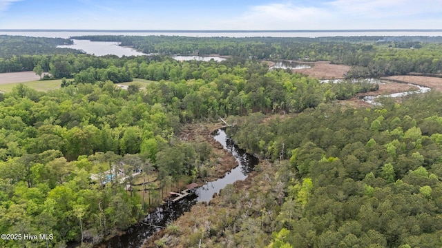 bird's eye view with a wooded view and a water view