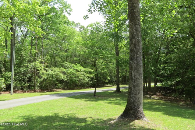view of home's community featuring a forest view and a lawn