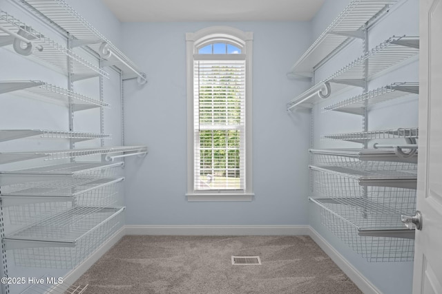 spacious closet featuring carpet flooring and visible vents