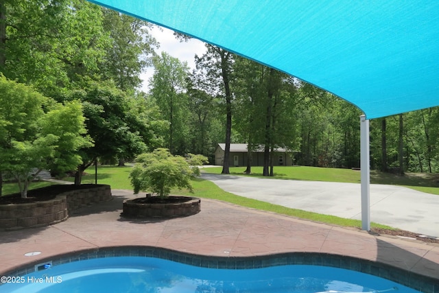 pool with a yard and a patio area
