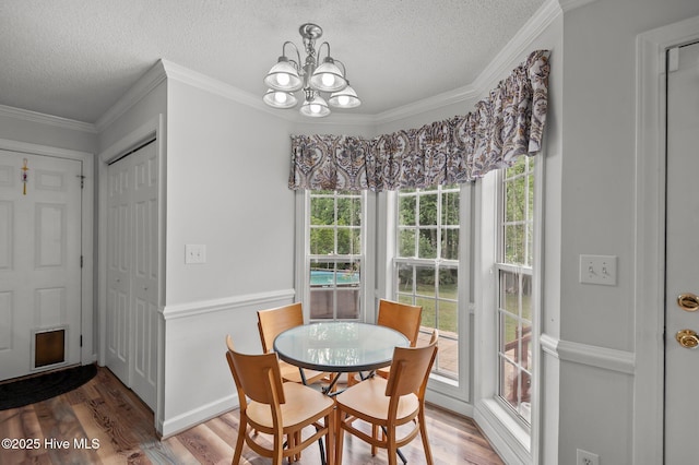1114 Stone Creek Dr, Greenville, NC 27858 - dining area featuring a textured ceiling, a chandelier, healthy amount of natural light, wood finished floors, and crown molding