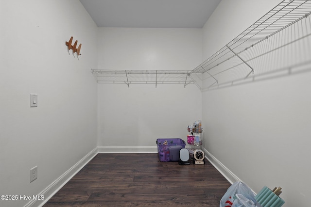 spacious closet with wood finished floors