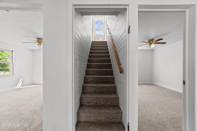 480 Croatan St, Belhaven, NC 27810 - stairway with baseboards, a ceiling fan, and carpet