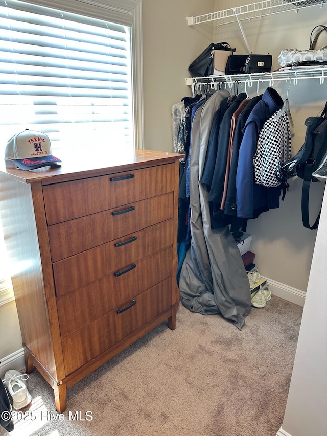 spacious closet featuring carpet
