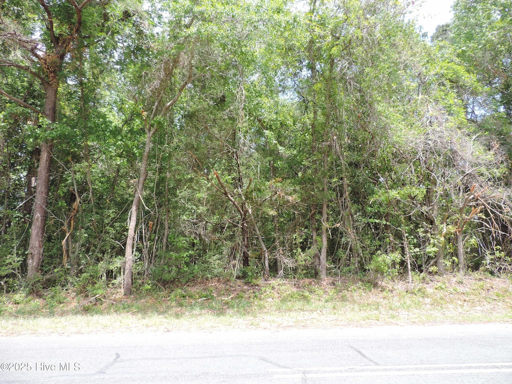 290 Perrytown Loop Rd -, Unit New Bern, NC 28562