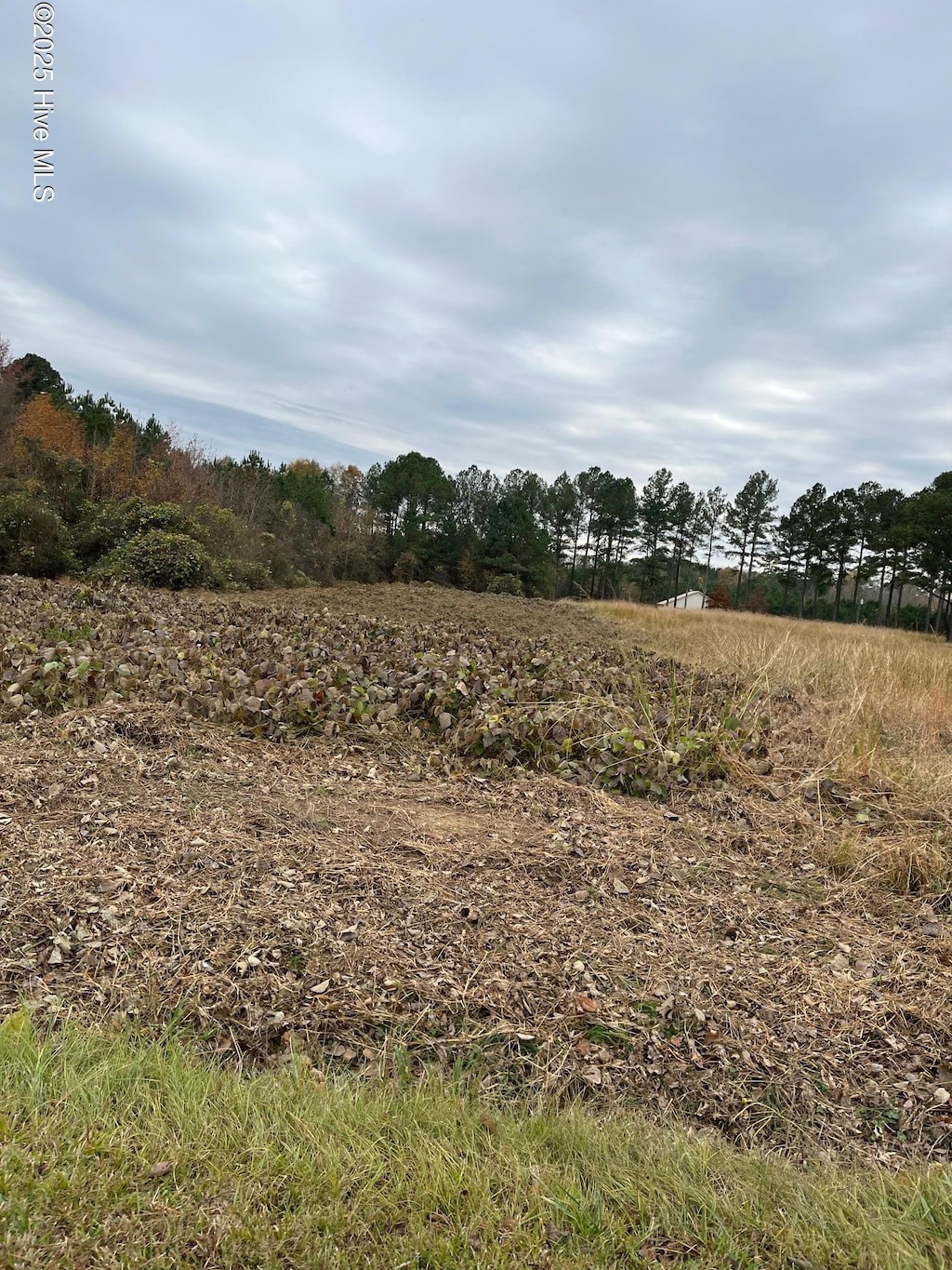 0 Liverman Mill Rd, Ahoskie, NC 27910