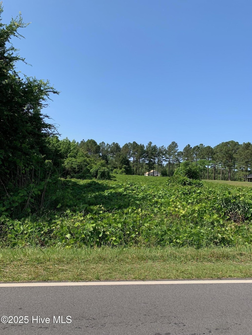 0 Liverman Mill Rd, Ahoskie, NC 27910