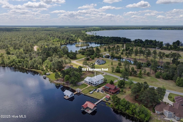 753 S Horsepen Dr, Harrells, NC 28444 - birds eye view of property featuring a water view and a forest view