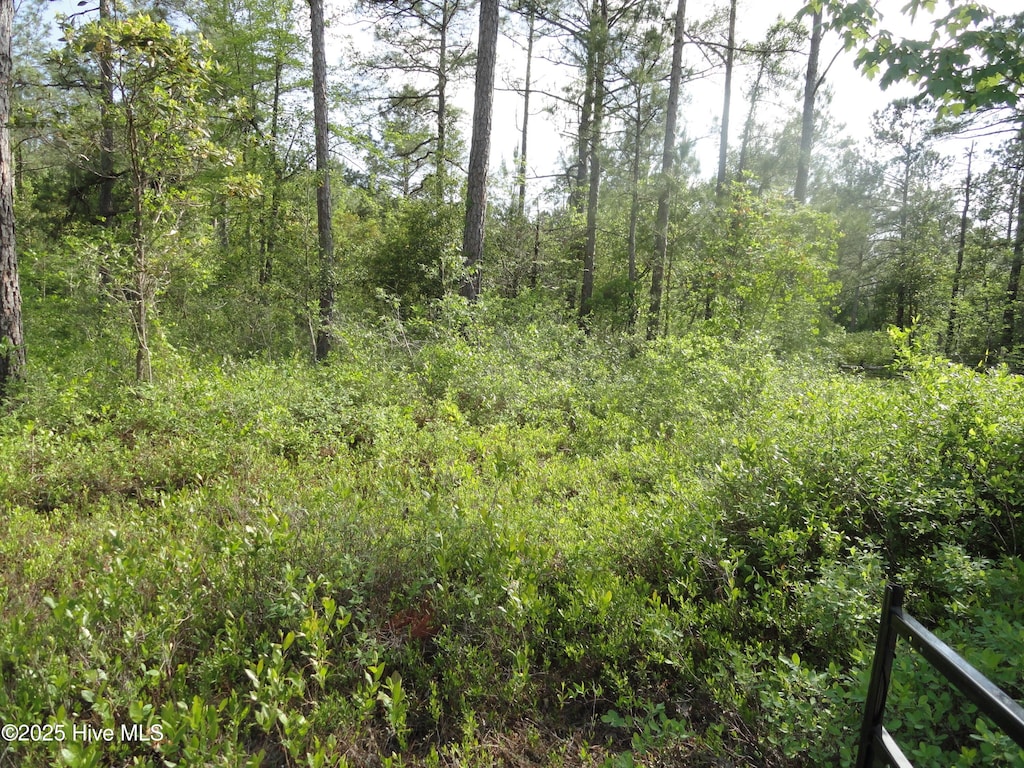 2 River Trl Unit 2, Burgaw, NC 28425