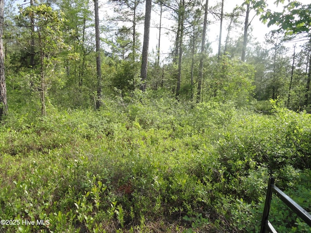 2 River Trl Unit 2, Burgaw, NC 28425