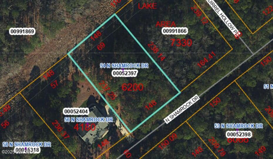 54 N Shamrock Dr, Jackson Springs, NC 27281
