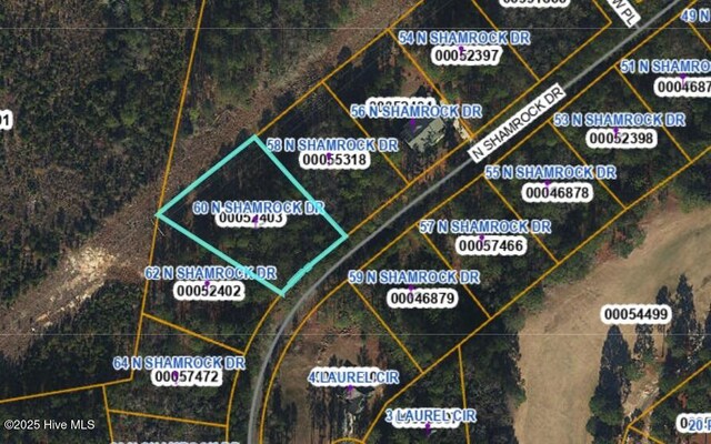 60 N Shamrock Dr, Jackson Springs, NC 27281