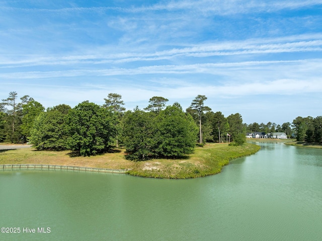 126 Muscadine Trl, Wallace, NC 28466
