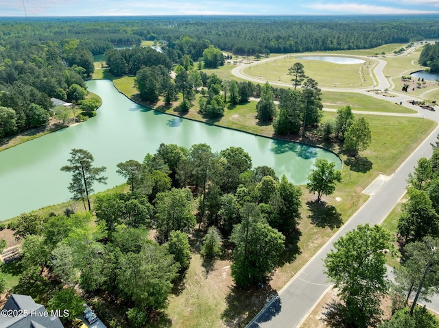 126 Muscadine Trl, Wallace, NC 28466