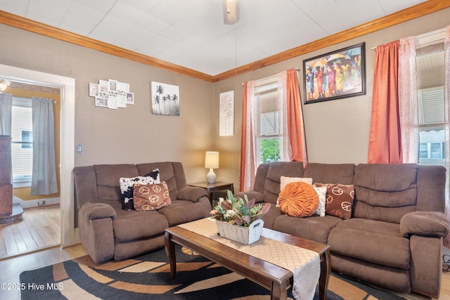 living area with wood finished floors and crown molding