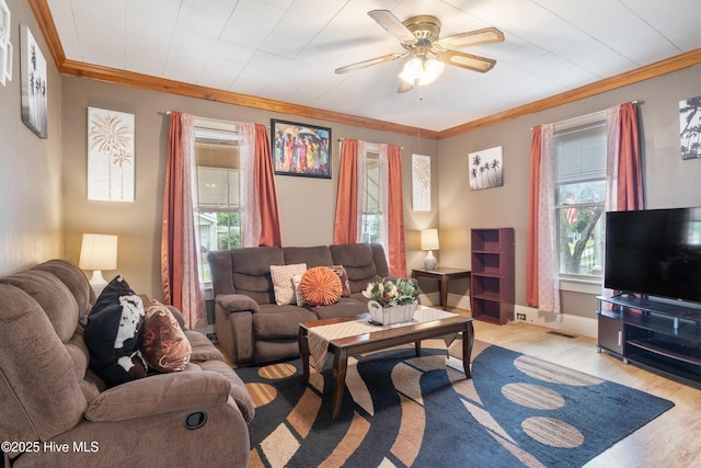 living room with crown molding, ceiling fan, visible vents, baseboards, and light wood-type flooring
