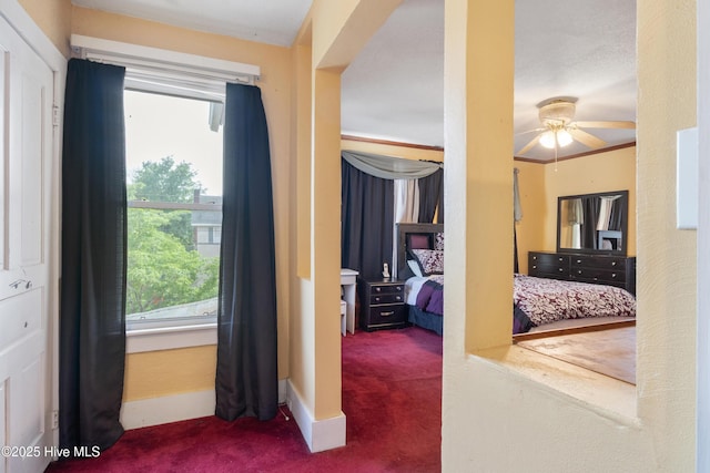 interior space featuring carpet and baseboards
