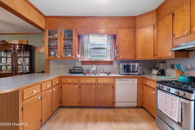 kitchen featuring a sink, appliances with stainless steel finishes, under cabinet range hood, and light wood-style floors
