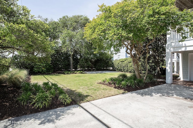 768 S Lumina Ave, Wrightsville Beach, NC 28480 - view of green lawn