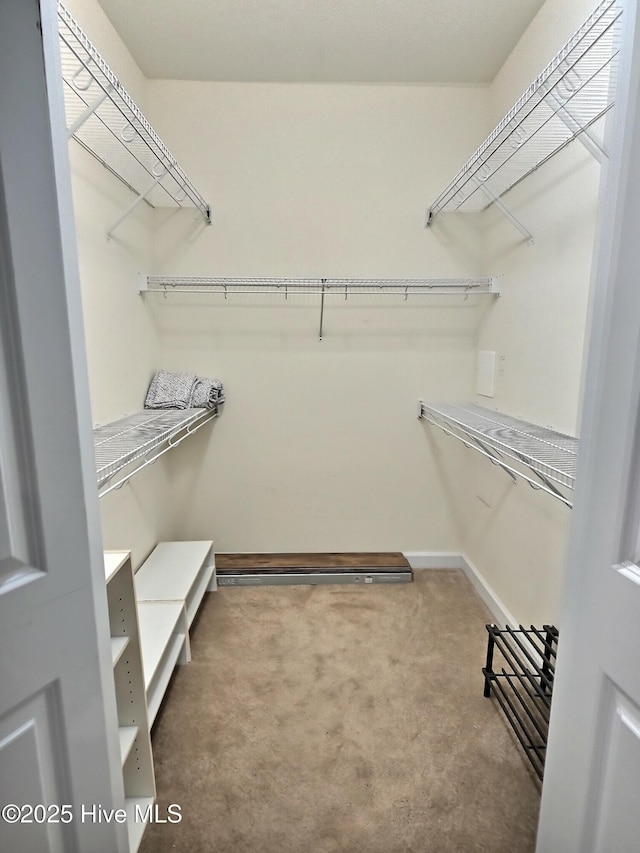 290 Woodlands Way Unit 10, Calabash, NC 28467 - spacious closet with carpet flooring