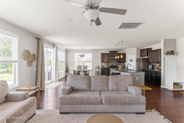 living room with plenty of natural light, dark wood finished floors, and visible vents