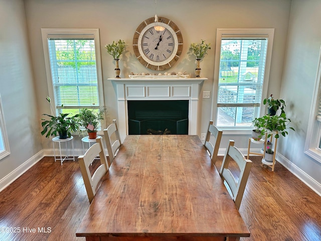 204 Liana Pl, Hubert, NC 28539 - living room with baseboards, wood finished floors, and a fireplace
