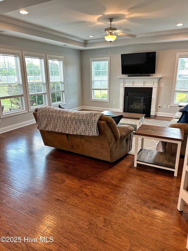 204 Liana Pl, Hubert, NC 28539 - living room featuring a tray ceiling, healthy amount of natural light, ceiling fan, a glass covered fireplace, and ornamental molding