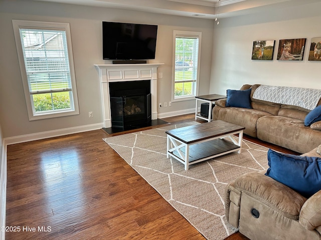 204 Liana Pl, Hubert, NC 28539 - living room featuring baseboards, wood finished floors, a fireplace with flush hearth, and ornamental molding
