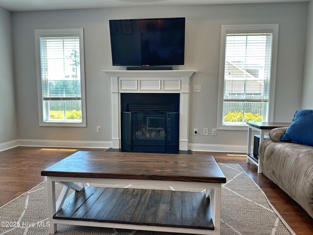 204 Liana Pl, Hubert, NC 28539 - living area with a fireplace with flush hearth, baseboards, and dark wood-style floors