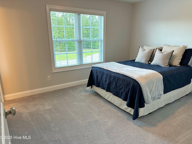 204 Liana Pl, Hubert, NC 28539 - carpeted bedroom with baseboards