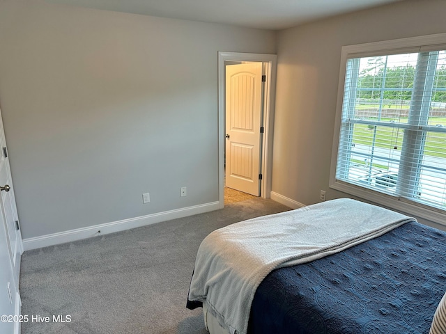 204 Liana Pl, Hubert, NC 28539 - bedroom featuring carpet flooring and baseboards