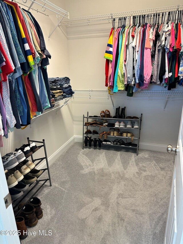 204 Liana Pl, Hubert, NC 28539 - spacious closet featuring carpet