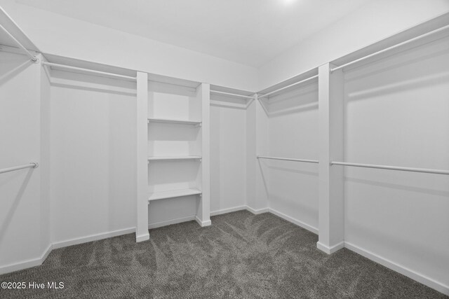 2594 Fountaintown Rd, Chinquapin, NC 28521 - unfurnished room featuring carpet, healthy amount of natural light, and a ceiling fan