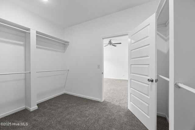 2594 Fountaintown Rd, Chinquapin, NC 28521 - walk in closet with dark colored carpet