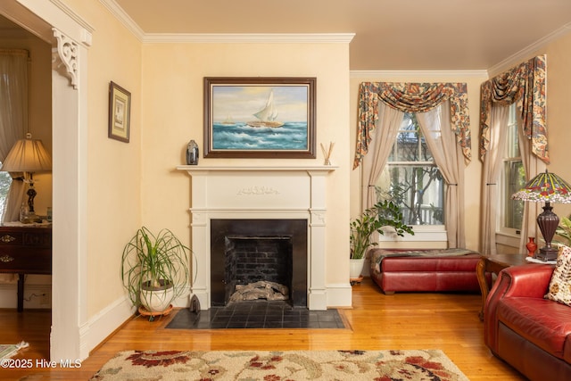 505 N Broad St, Edenton, NC 27932 - living room with wood finished floors, a fireplace with flush hearth, crown molding, and baseboards