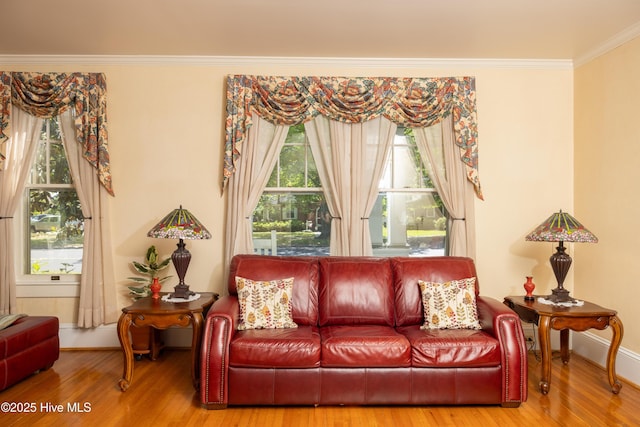 505 N Broad St, Edenton, NC 27932 - living room featuring wood finished floors, crown molding, and plenty of natural light