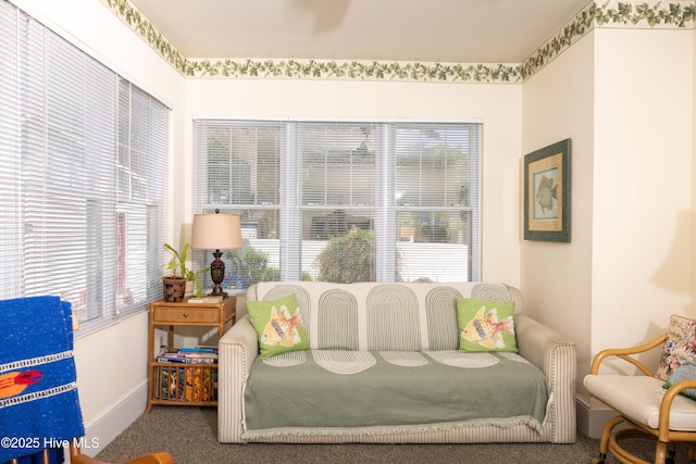 505 N Broad St, Edenton, NC 27932 - sitting room with carpet flooring, plenty of natural light, and baseboards