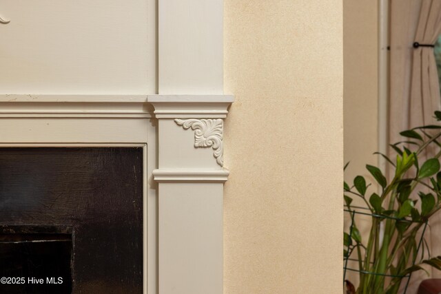 505 N Broad St, Edenton, NC 27932 - detailed view of a fireplace