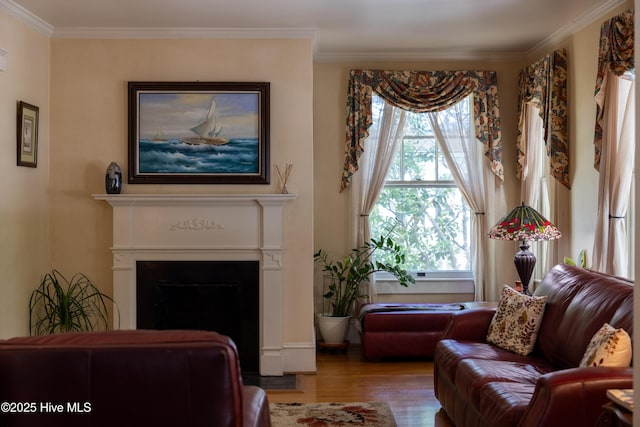 505 N Broad St, Edenton, NC 27932 - living area featuring wood finished floors, a fireplace, and ornamental molding