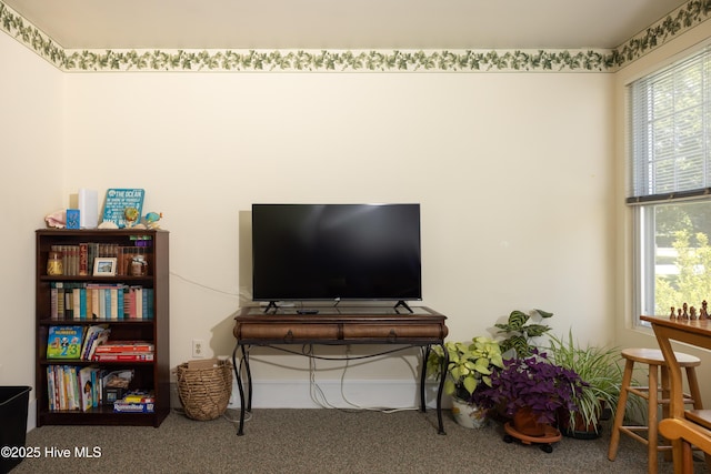505 N Broad St, Edenton, NC 27932 - living area featuring carpet and plenty of natural light