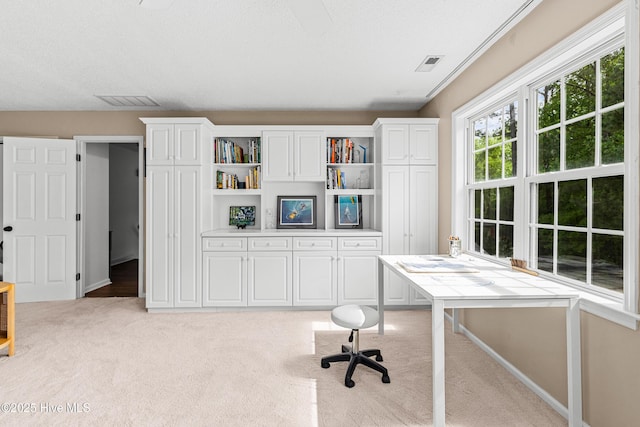 unfurnished office with visible vents and light colored carpet