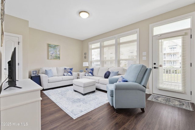 living room with dark wood-type flooring