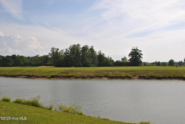 202 Majestic Cir, Merry Hill, NC 27957 - view of property's community with a water view and a yard