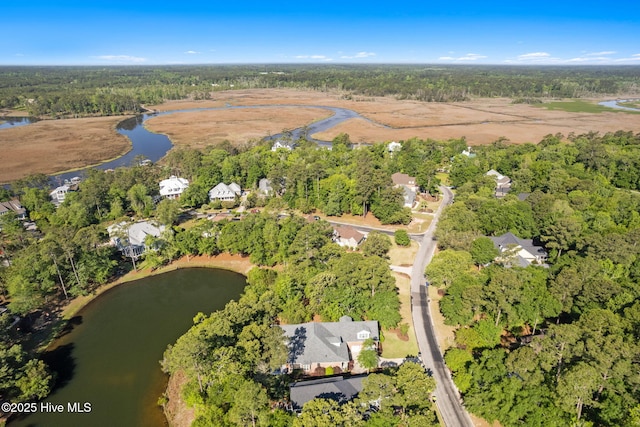 79 Plantation Passage Dr SE, Bolivia, NC 28422 - birds eye view of property with a water view and a forest view