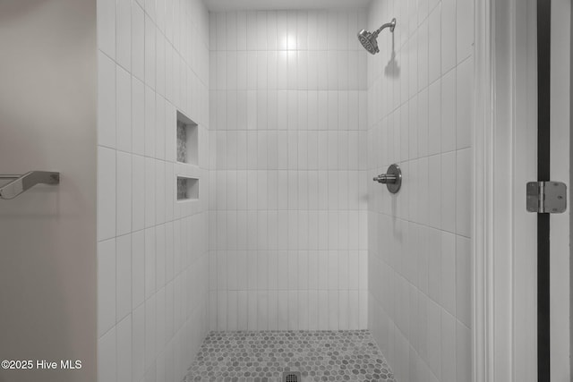 110 Costa Ct, Sneads Ferry, NC 28460 - bathroom with tiled shower
