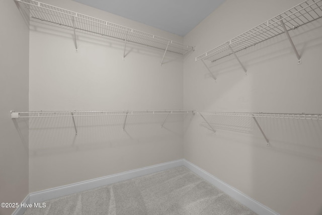 110 Costa Ct, Sneads Ferry, NC 28460 - walk in closet featuring carpet floors