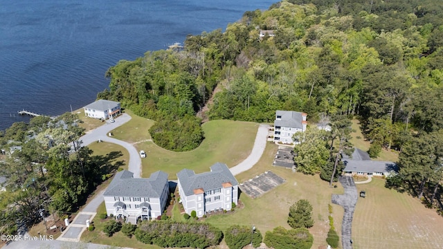 aerial view with a water view and a view of trees