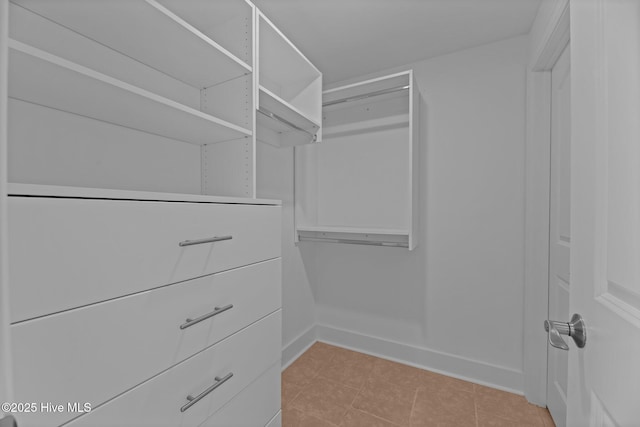 view of walk in closet